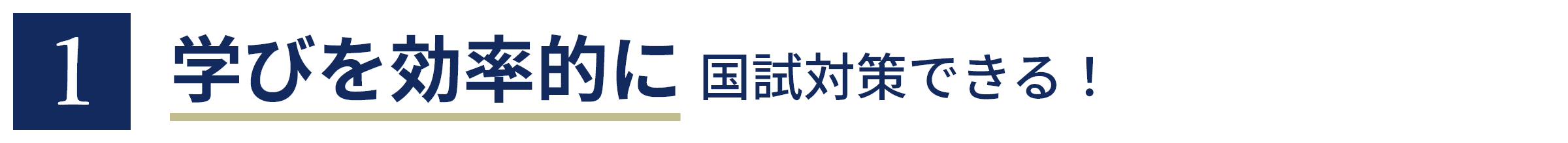 1 学びを効率的に国試対策できる！